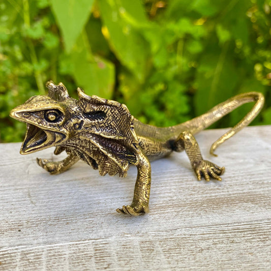Veiled lizard