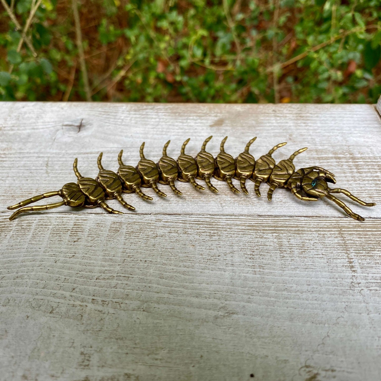 Bendable Centipede