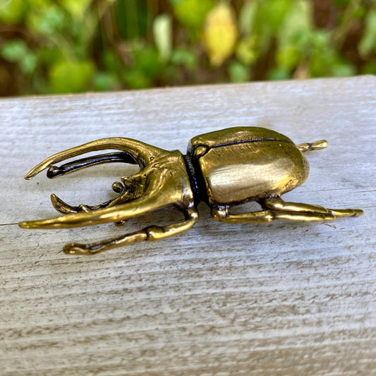 Brass Trypoxylus Horned Rhino Beetle