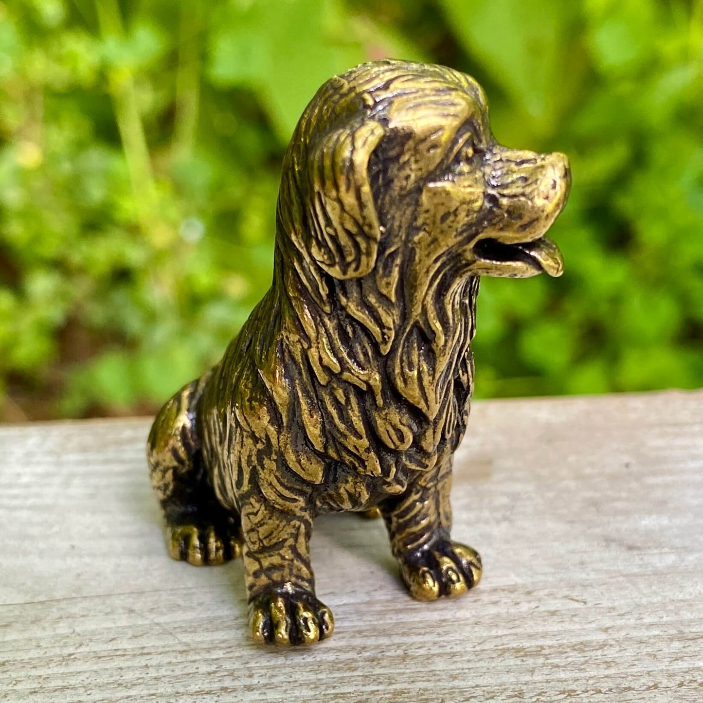 Golden Retriever Dog