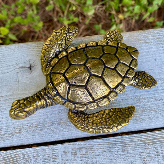 Large Sea turtle