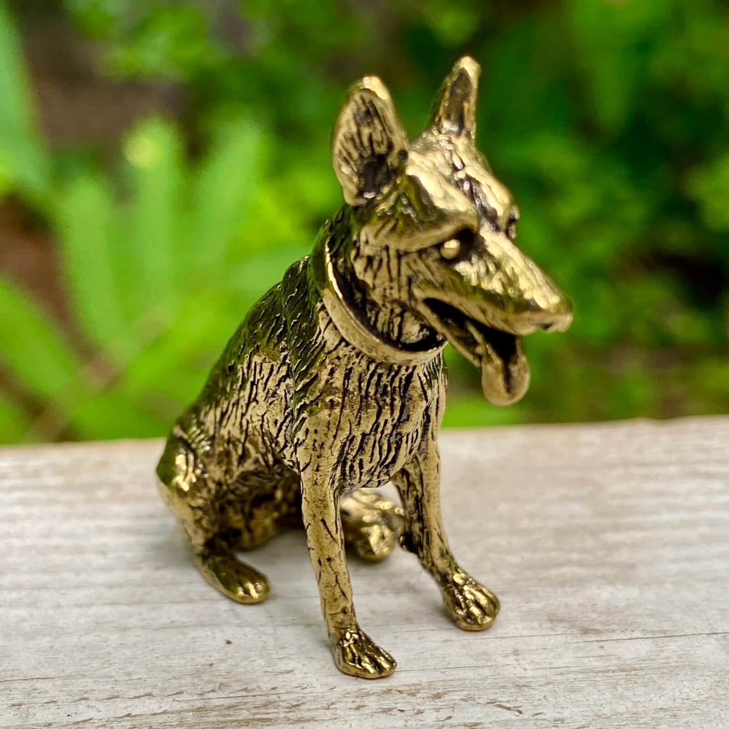 German Shepard Dog