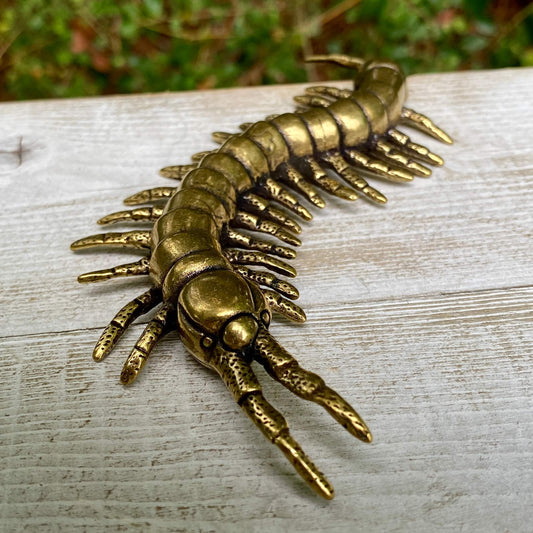 Centipede