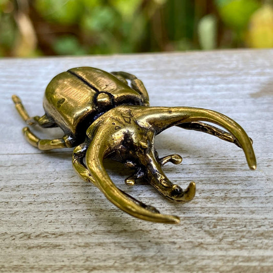 Brass Trypoxylus Horned Rhino Beetle