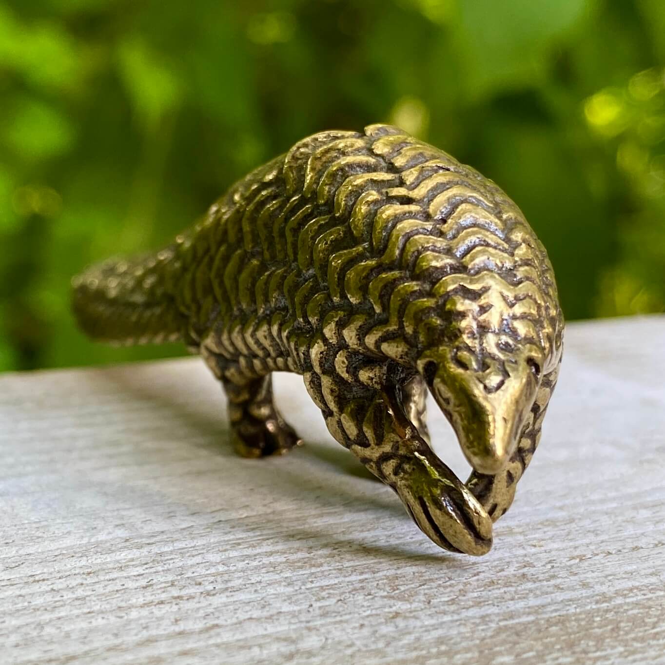 Pangolin