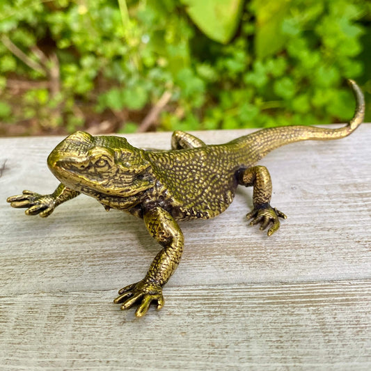 Lizard