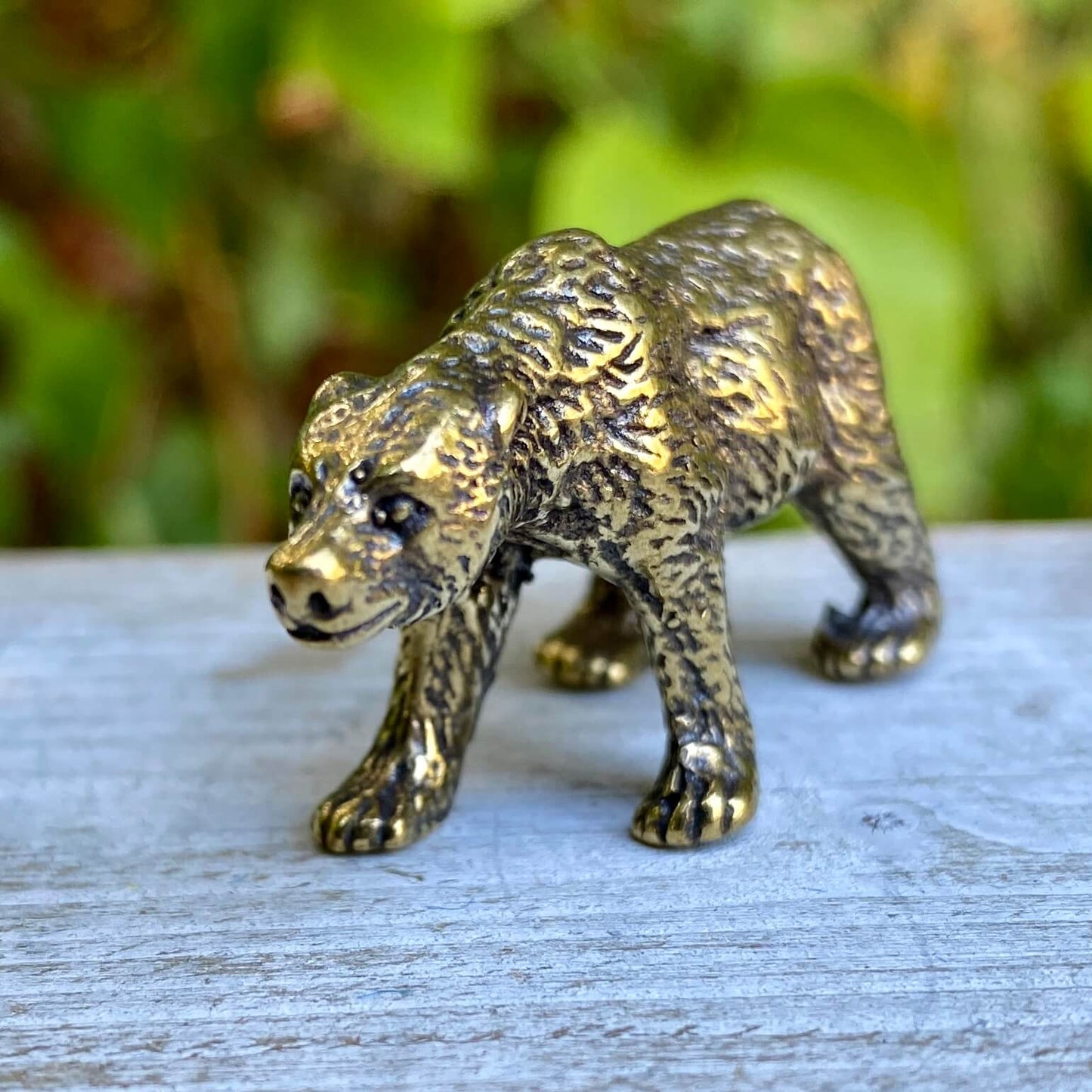 Bear
