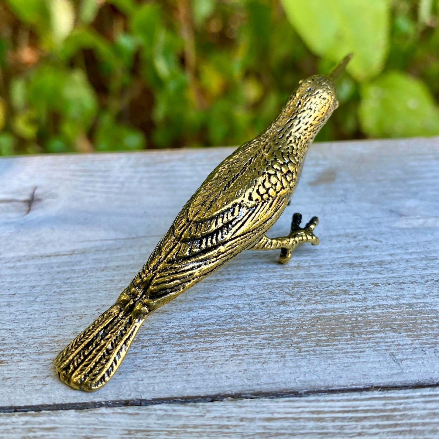 Hummingbird