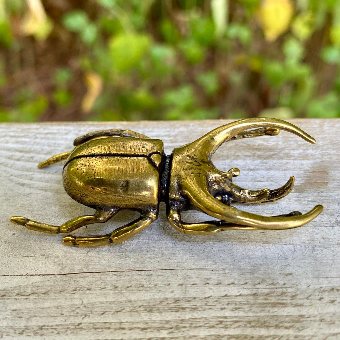 Brass Trypoxylus Horned Rhino Beetle